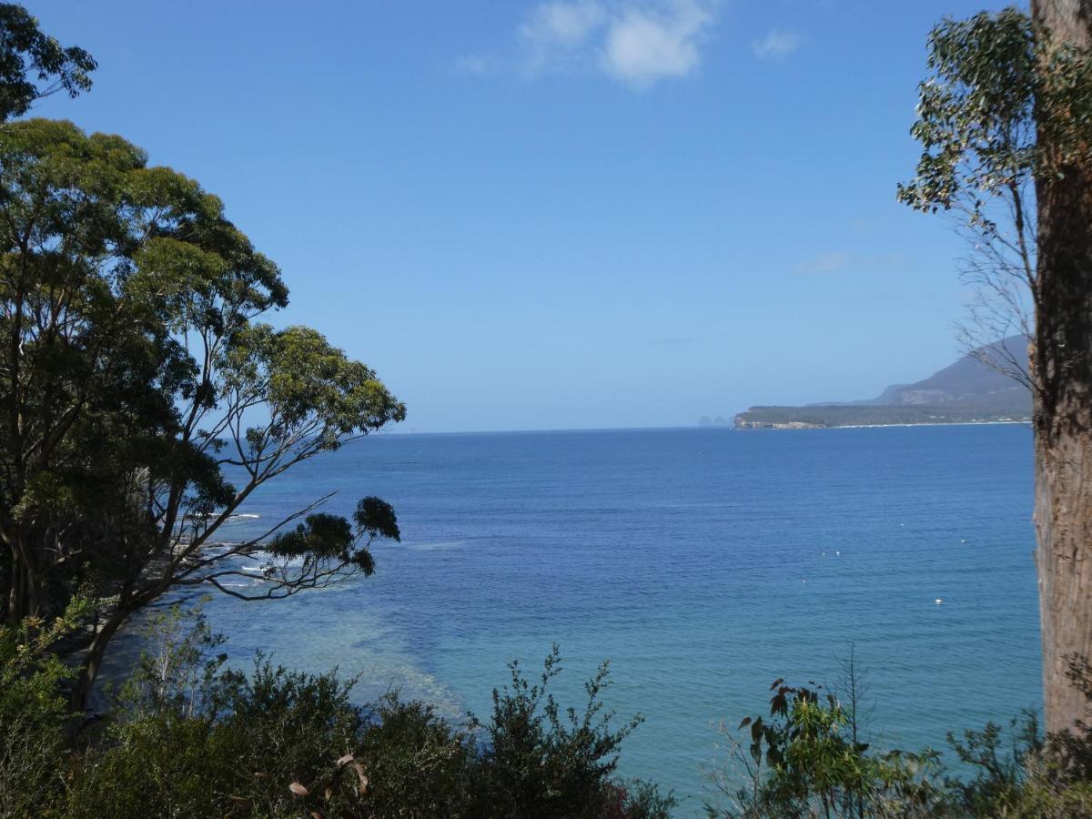 Osprey Lodge & Bungalow Eaglehawk-szoros Kültér fotó
