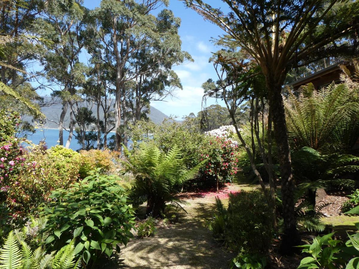 Osprey Lodge & Bungalow Eaglehawk-szoros Kültér fotó